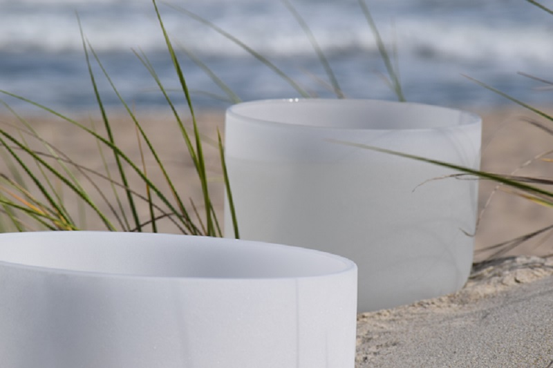 What can Silvina help you?